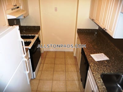 Allston/brighton Border Apartment for rent 2 Bedrooms 1.5 Baths Boston - $3,610