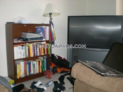 Downtown Apartment for rent 1 Bedroom 1 Bath Boston - $2,700