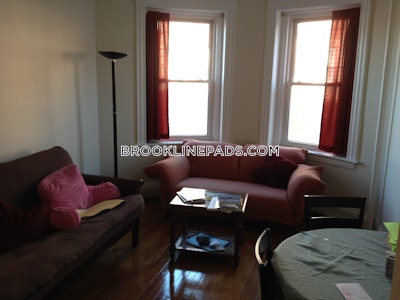 Brookline Apartment for rent 1 Bedroom 1 Bath  Washington Square - $2,500