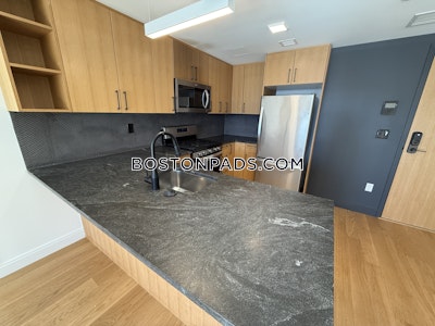 Allston 2 Bed 2 Bath BOSTON Boston - $4,250 No Fee