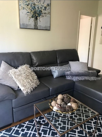 South End 1 Bed 1 Bath BOSTON Boston - $3,300