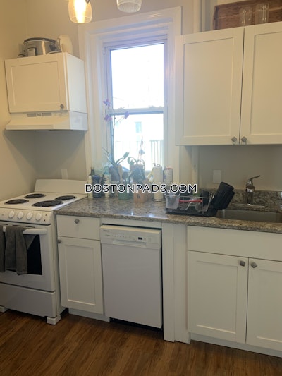 Allston 2 Beds 1 Bath Boston - $3,200