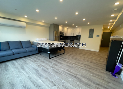 Allston 0 Bed 1 Bath BROOKLINE- BOSTON UNIVERSITY Boston - $2,900