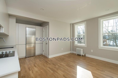 Brighton 1 Bed 1 Bath Boston - $2,550