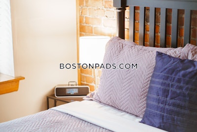 Back Bay 1 Bed 1 Bath BOSTON Boston - $3,200