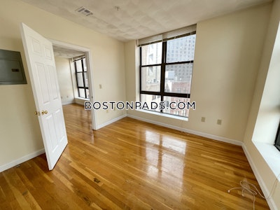 Downtown 1 Bed 1 Bath BOSTON Boston - $3,000