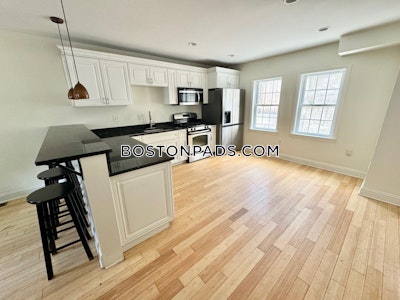 Fort Hill Captivating Townhouse with 4 Bedrooms 2 Full Bathrooms for Rent 9/1 Boston - $4,800