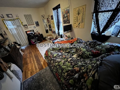 Mission Hill 2 Bed, 1 Bath Unit Boston - $3,200