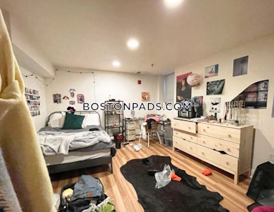 Northeastern/symphony 5 Beds 3 Baths Boston - $9,500