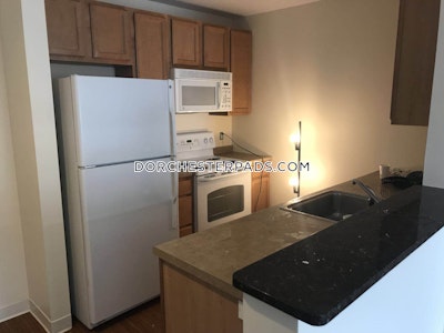 Dorchester Apartment for rent 2 Bedrooms 2 Baths Boston - $5,781 No Fee