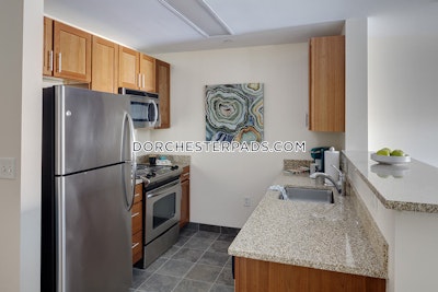 Dorchester Apartment for rent Studio 1 Bath Boston - $3,967 No Fee