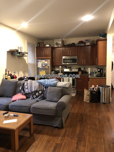 Dorchester/south Boston Border Modern 2 Bed 2 Bath on Saint Margaret St. in South Boston/Dorchester Boston - $2,950