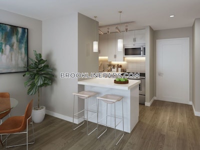 Brookline 1 Bed 1 Bath BROOKLINE- BROOKLINE VILLAGE $3,399  Brookline Village - $3,200