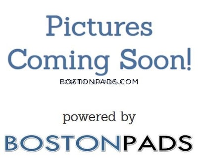 Allston Apartment for rent 3 Bedrooms 2 Baths Boston - $4,400