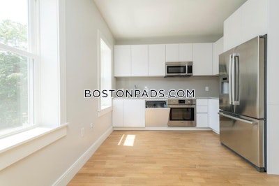 Brighton Apartment for rent 3 Bedrooms 1 Bath Boston - $4,750