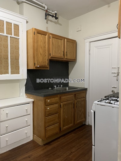 Brighton Apartment for rent 1 Bedroom 1 Bath Boston - $2,725 No Fee