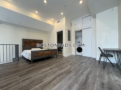 Allston Apartment for rent 1 Bedroom 1 Bath Boston - $3,500