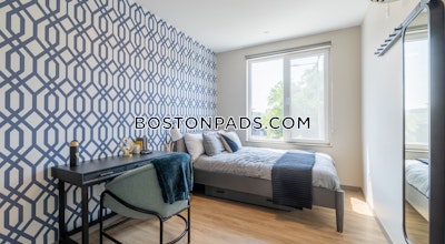 Allston Apartment for rent 3 Bedrooms 2 Baths Boston - $2,054