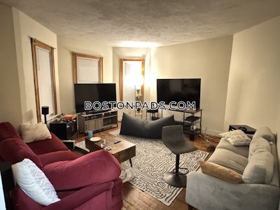 Mission Hill Apartment for rent 3 Bedrooms 1 Bath Boston - $4,500