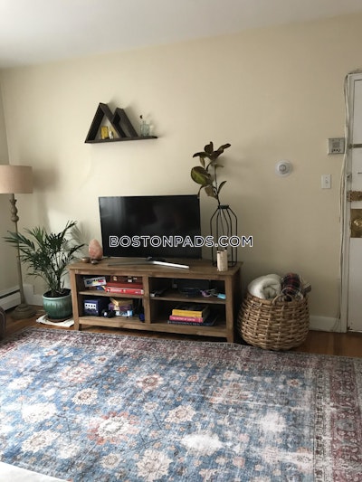 Brighton Apartment for rent 2 Bedrooms 1 Bath Boston - $3,020