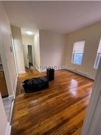 Mission Hill Apartment for rent 2 Bedrooms 1 Bath Boston - $3,145