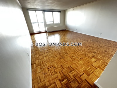 West End Apartment for rent 1 Bedroom 1 Bath Boston - $3,730