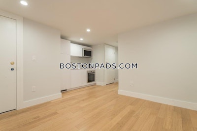 Brighton Apartment for rent 1 Bedroom 1 Bath Boston - $2,600