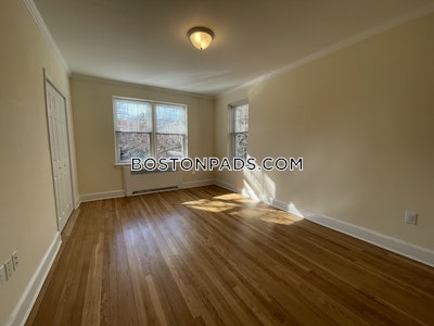 Brighton Apartment for rent 1 Bedroom 1 Bath Boston - $3,025 No Fee