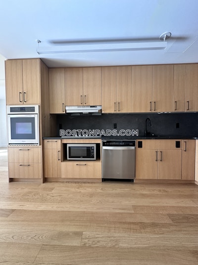 Allston Apartment for rent 2 Bedrooms 2 Baths Boston - $5,300 No Fee