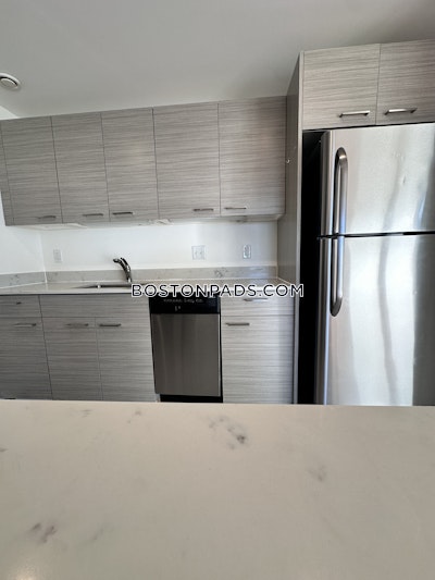 Allston Apartment for rent 2 Bedrooms 2 Baths Boston - $3,500 No Fee