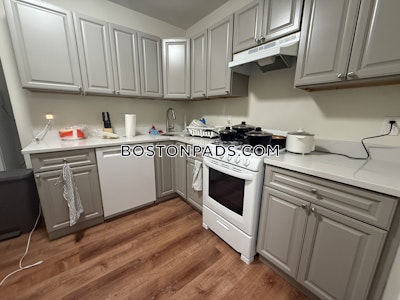 Jamaica Plain Apartment for rent 1 Bedroom 1 Bath Boston - $2,150