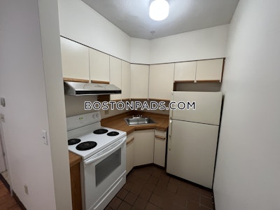 Downtown Apartment for rent 1 Bedroom 1 Bath Boston - $2,500 No Fee