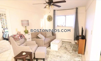 Brighton Apartment for rent 2 Bedrooms 1 Bath Boston - $2,700