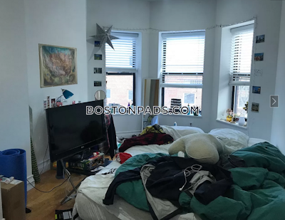 Northeastern/symphony Apartment for rent 4 Bedrooms 1 Bath Boston - $6,800