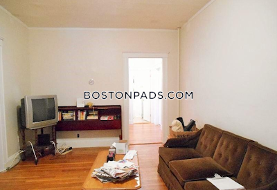 Brighton Apartment for rent 5 Bedrooms 2 Baths Boston - $4,875