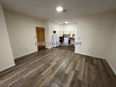 Downtown Apartment for rent 2 Bedrooms 1 Bath Boston - $3,400