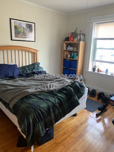 Cambridge Apartment for rent 3 Bedrooms 1 Bath  Central Square/cambridgeport - $4,200