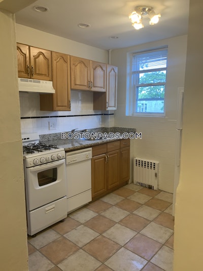 Allston/brighton Border Apartment for rent 1 Bedroom 1 Bath Boston - $2,100