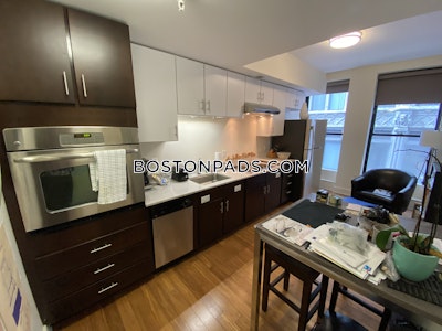 Downtown Apartment for rent Studio 1 Bath Boston - $2,800