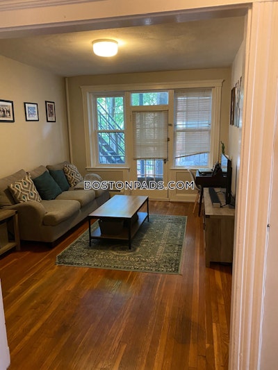 Brighton Apartment for rent 1 Bedroom 1 Bath Boston - $2,300