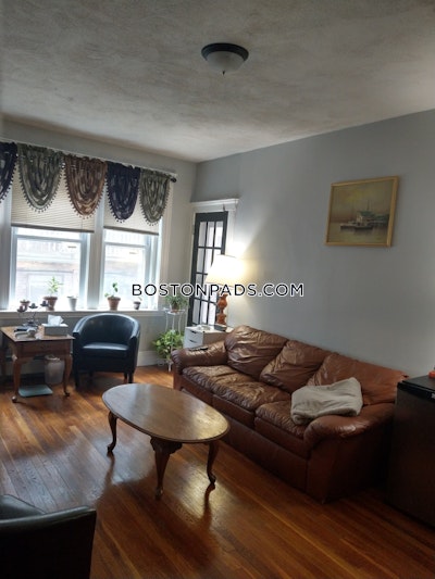 Brighton Apartment for rent 1 Bedroom 1 Bath Boston - $2,350