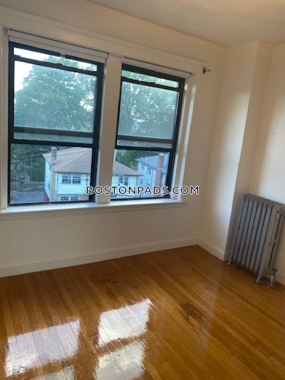 Brighton Apartment for rent 4 Bedrooms 2 Baths Boston - $3,700