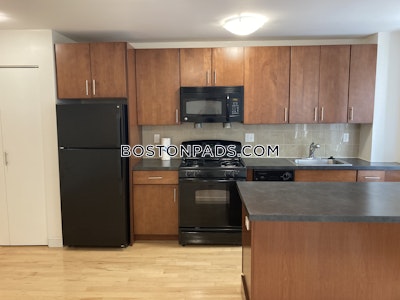 Brighton Apartment for rent 1 Bedroom 1 Bath Boston - $2,962 No Fee