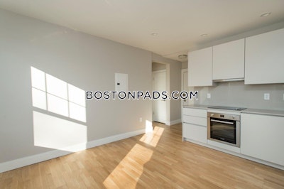 Brighton Apartment for rent 1 Bedroom 1 Bath Boston - $2,550