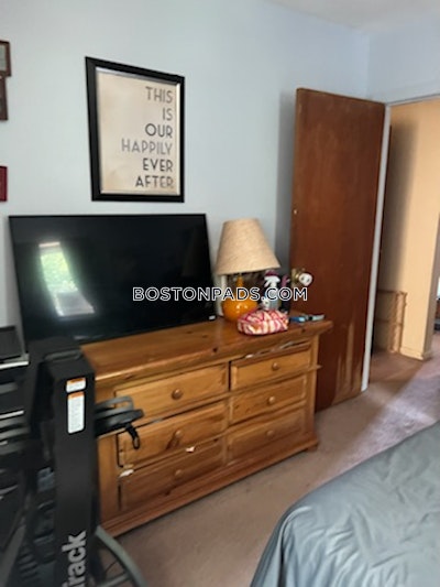 Newton Apartment for rent 2 Bedrooms 1 Bath  Chestnut Hill - $2,400