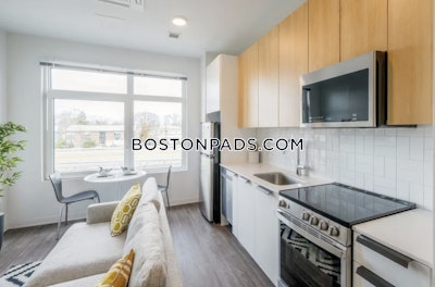 Allston Apartment for rent Studio 1 Bath Boston - $2,833 No Fee