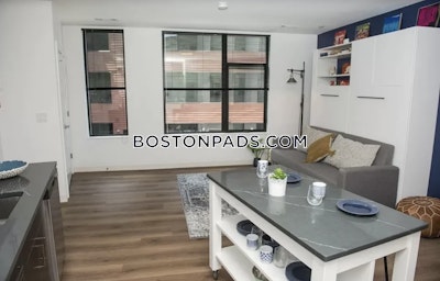 Allston Apartment for rent Studio 1 Bath Boston - $3,215 No Fee