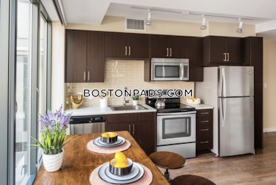 Downtown Studio  Luxury in BOSTON Boston - $2,895