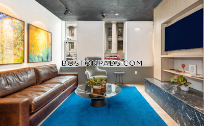 Downtown 1 bedroom 1 baths Luxury in BOSTON Boston - $3,714