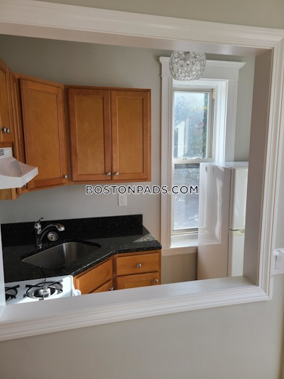 Allston Apartment for rent 1 Bedroom 1 Bath Boston - $2,480